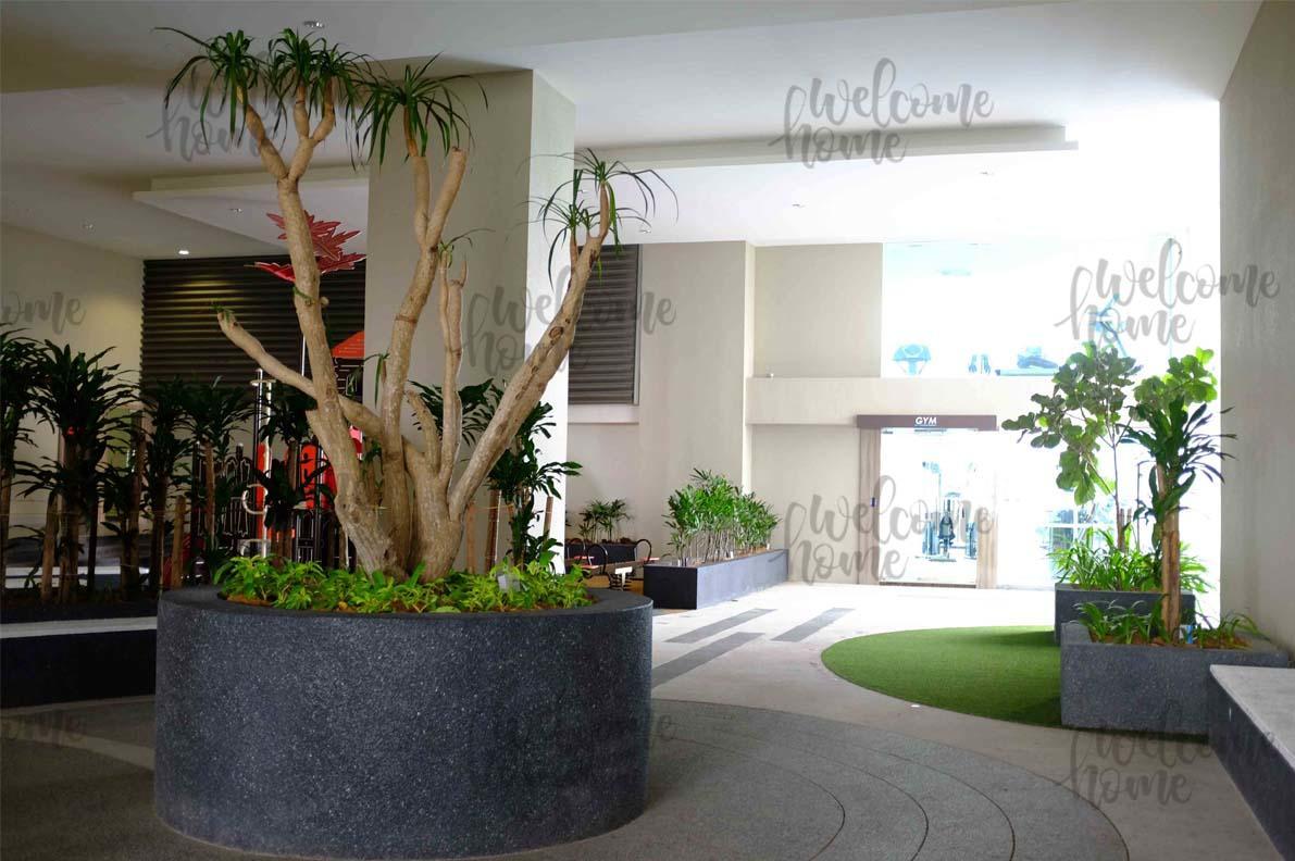 Paragon Ciq By Welcome